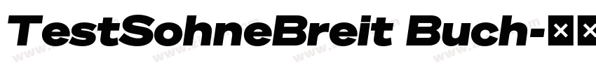 TestSohneBreit Buch字体转换